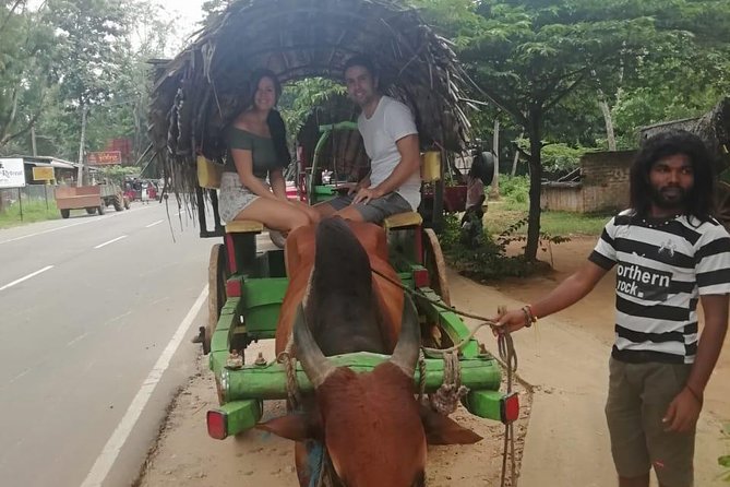 Sigiriya city tour from Negombo & Colombo with traditional Lunch. - The driver-guide experience: what makes the day feel easy