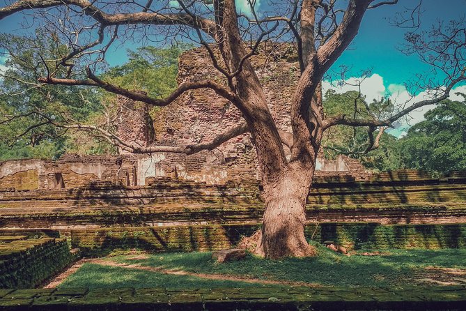Sigiriya, Polonnaruwa & Dambulla "Trilogy" Day Tour from Colombo - Timing and travel: why this day feels long