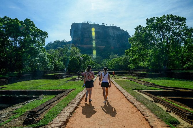 Sigiriya Rock and Dambulla Cave All Inclusive Private Day Trip - Price and logistics: what $55 really buys you