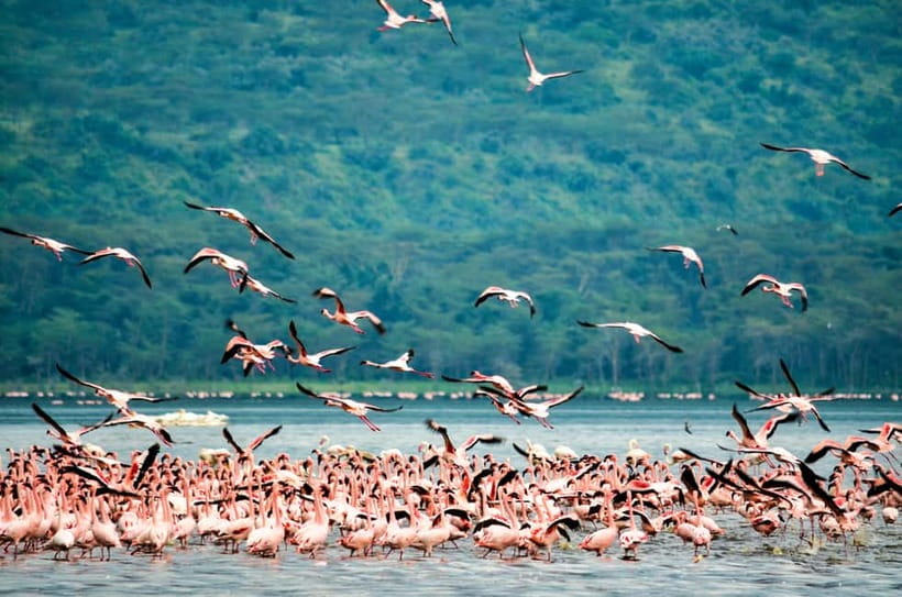 Sri Lanka 5-Day Private Country Side Tour Car, Hotels, Food - Key things that make this tour work
