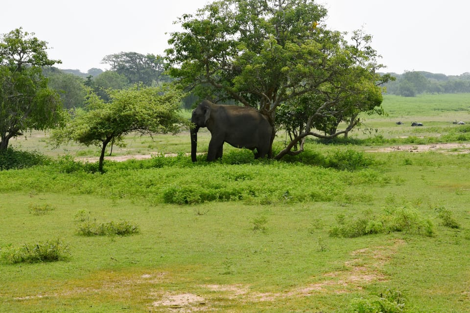 Sri Lanka 5-Day Private Country Side Tour Car, Hotels, Food - Comfort, walking, and what to pack for this exact route