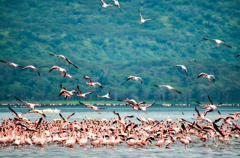 Sri Lanka 5-Day Private Country Side Tour Car, Hotels, Food - What’s included (and what costs extra) so you can budget cleanly