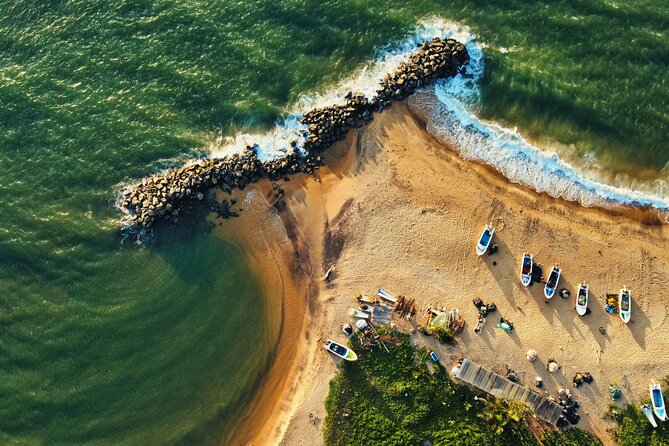 Sri Lanka 5 Day tour Best Nature and Culture include top hotels - Private Transport, Airport Pick-Up, and the Value of Not Getting Lost