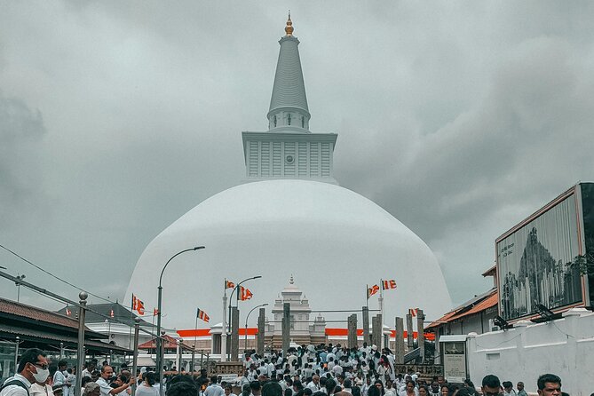 Sri Lanka 5 Day tour Best Nature and Culture include top hotels - The Scenic Train Ride to Ella: A Real Highlight, If You Plan for Availability