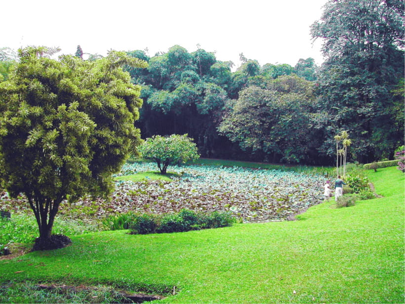 Sri Lanka Cultural Triangle Private 2-Day Tour+Wildlife Tour - Who this tour fits best