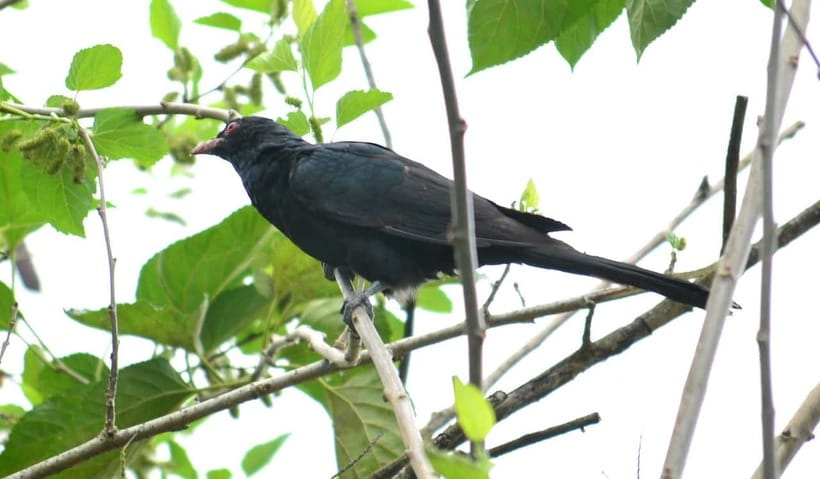 Sri Lanka Green Bless- 2-day Private Trip To Enjoy Nature - Key things to know before you go