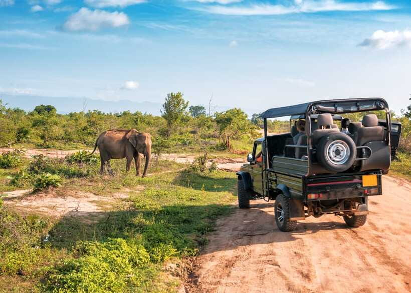 Sri Lanka Green Bless- 2-day Private Trip To Enjoy Nature - Guides and How They Change the Day