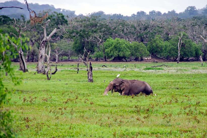 Sri Lanka Green Bless- 2-day Private Trip To Enjoy Nature - Galle Fort on Foot and South-Coast Beach Breaks