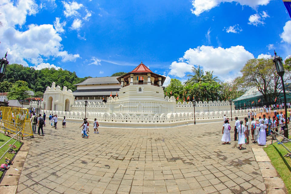 Sri Lanka Nature, culture, history and wildlife in 4 days - Who should book this Sri Lanka 4-day nature and culture blend