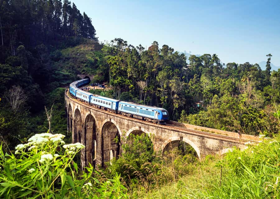Sri Lanka Private 2-day Tour:Train Trip, Kandy, Nuwara Eliya - Peradeniya Botanical Garden: your morning stroll, but make it huge