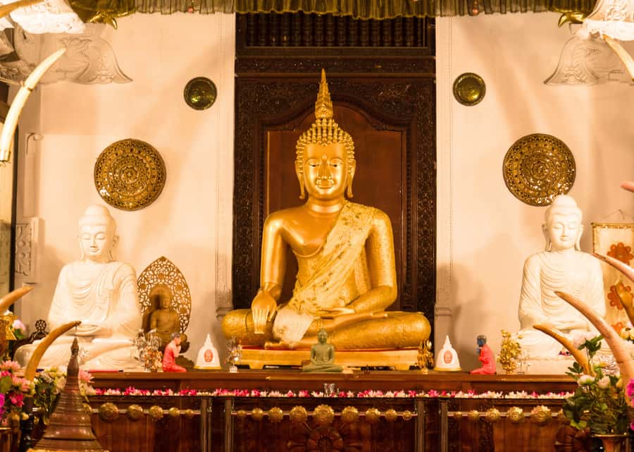 Sri Lanka Private 2-day Tour:Train Trip, Kandy, Nuwara Eliya - Hotels, timing, and the two-day reality check