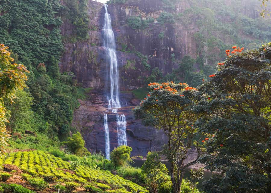 Sri Lanka Private 2-day Tour:Train Trip, Kandy, Nuwara Eliya - Hill Country Blue Train: the easy way to see the views