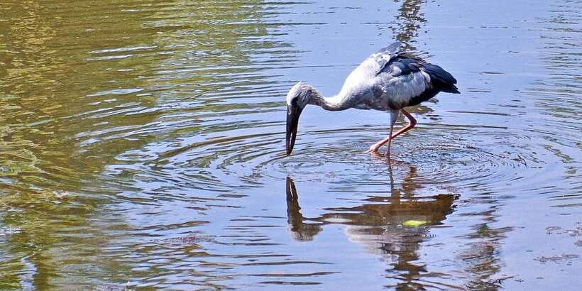 Sri Lanka Private Galle Tour: stilt fisherman, Galle Fort... - Price and Value: What US$ 70 Covers and What Costs Extra