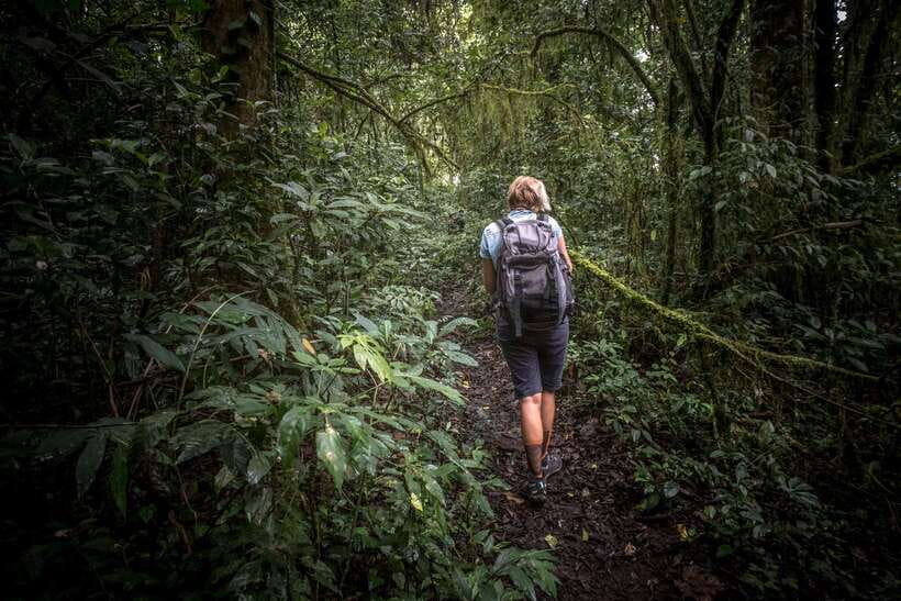 Sri Lanka: Sinharaja rainforest tour from Colombo, Bentota - Key points I’d plan around before you go