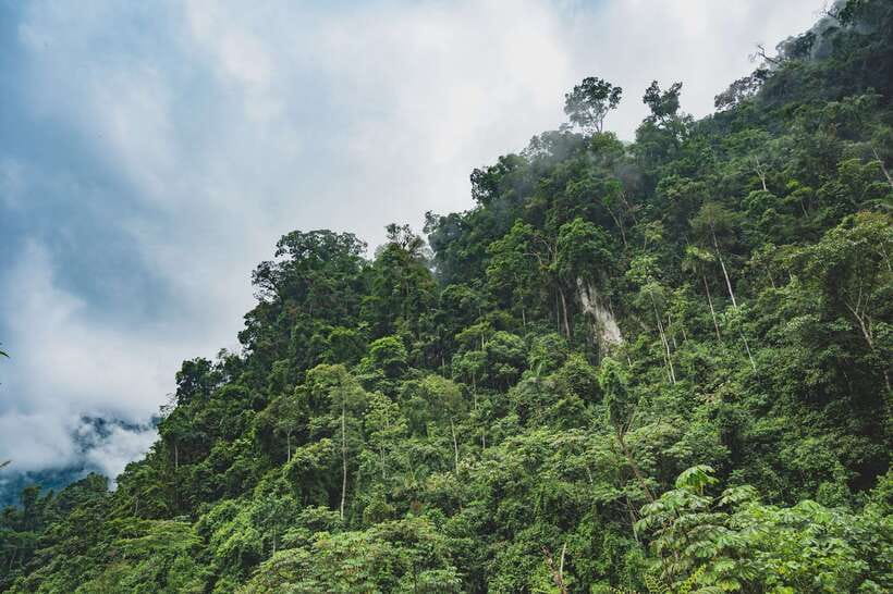 Sri Lanka: Sinharaja rainforest tour from Colombo, Bentota - Price and value: is $195 a fair deal for this day?