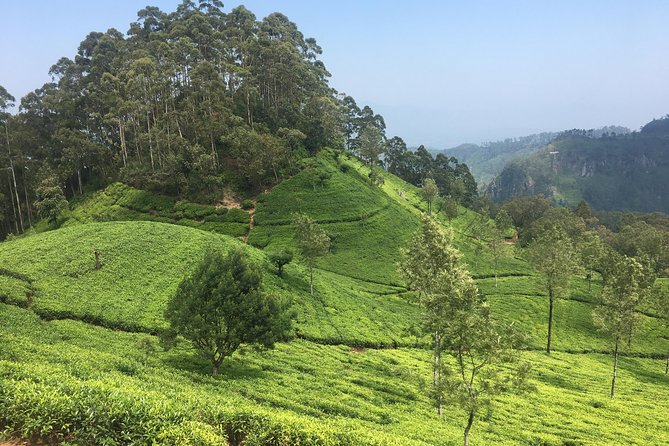 Sri Lanka Tour in 8 Days - Kandy market, lake views, and the Sacred Tooth Relic night