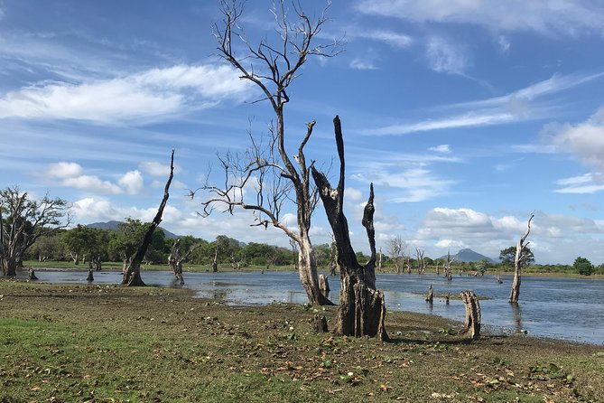 Sri Lanka tours 12-Day wildlife Tour with driver,Car or Van and accommodations - Day 4: Climb Sigiriya at first light, then Dambulla and Kandy’s sacred tooth