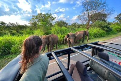 Sri Lanka Travel in 08 Nights 09 Days - Sigiriya and a tuk-tuk village safari day