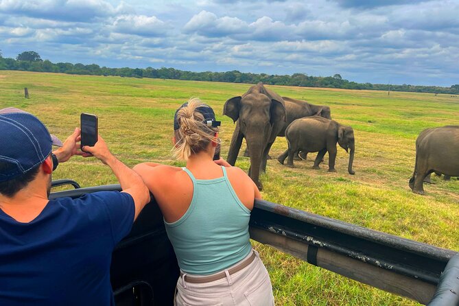 Sri Lanka Travel in 08 Nights 09 Days - Ella’s Nine Arches Bridge and a wildlife-heavy Yala day
