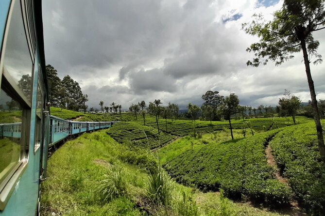 Train from Colombo to Kandy - Key Highlights to Know Before You Go