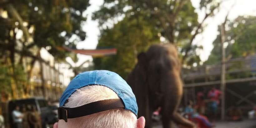 Tuk Trip is Very Cheap in Colombo (All-inclusive ) city tour - Why a tuk-tuk tour is the smart way to see Colombo