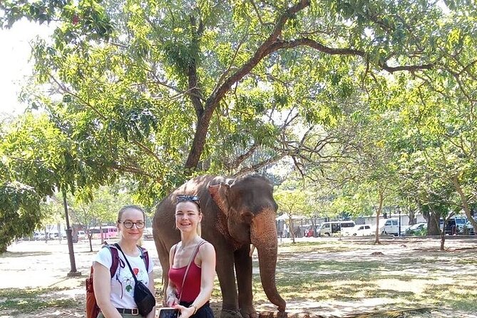 Tuk Tuk Private Tour Exploring Sri Lanka Capital of Colombo - Jami Ul-Alfar Mosque and Pettah Floating Market: start in Old Colombo energy