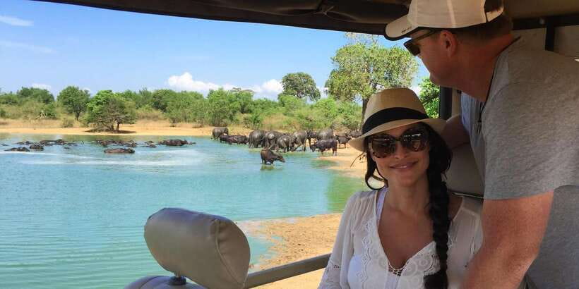 Udawalawa National Park: All-Inclusive Private Day Tour - Your Guide Matters: English Explanations That Make Wildlife Click