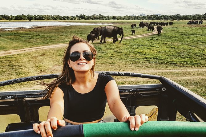 Udawalawe National Park Safari With Transfers From Colombo - Pickup, Vehicle Comfort, and What the Day Feels Like