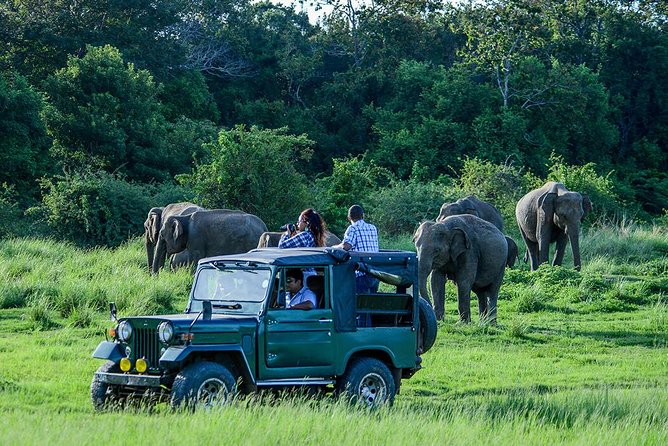 Udawalawe Safari Day Trip from South Region & Transfer to Ella - Key things that make this day trip work