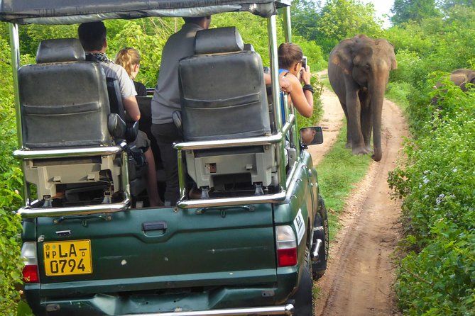 Udawalawe Safari Day Trip from South Region & Transfer to Ella - Elephant Transit Home: the 30-minute stop that adds context