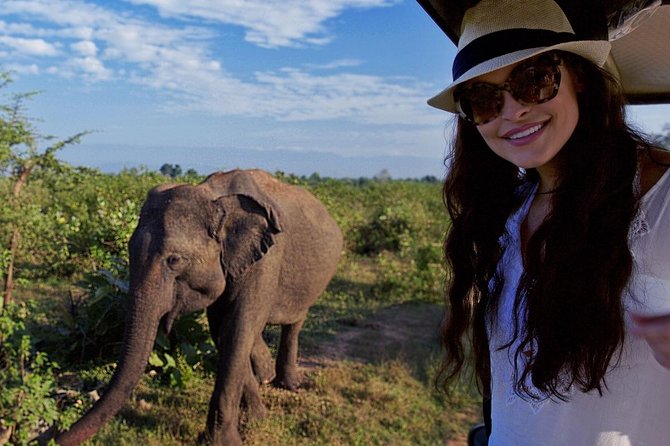 Udawalawe Safari Day Trip from South Region & Transfer to Ella - What’s included (and what you’ll still need to plan)
