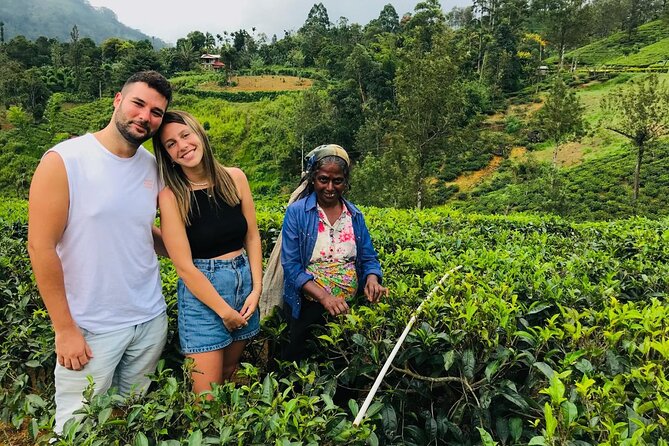 Ultimate 8-Day Sri Lanka Adventure: Private Guided Tour - Key things that make this itinerary worth your time