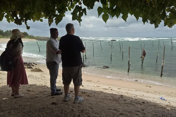 Whales Watching Mirissa Day Tour - Kosgoda Sea Turtle Conservation Project: Hatchery Visit Basics