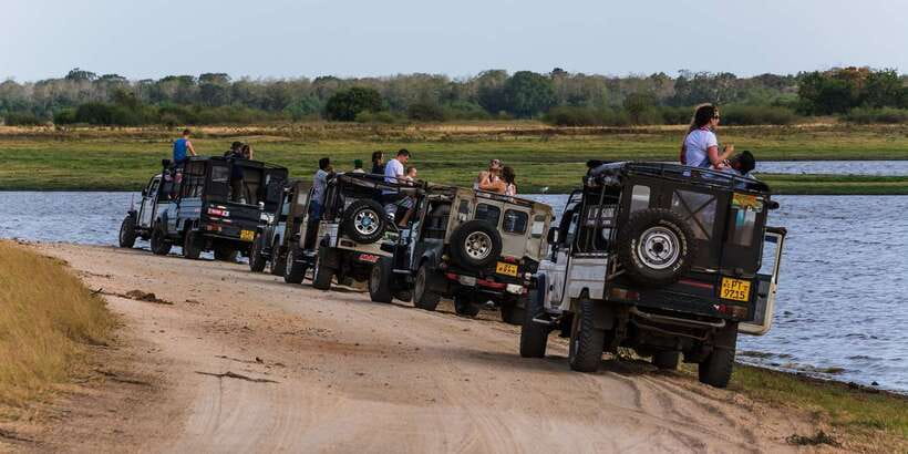 Wilpattu National Park Safari Tour from Colombo - Price and Value: What $105 Really Buys