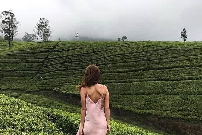 Wonderful Srilankan 14 Days Tours - Sigiriya and Pidurangala: Lion Rock and Royal Cave Temple viewpoints
