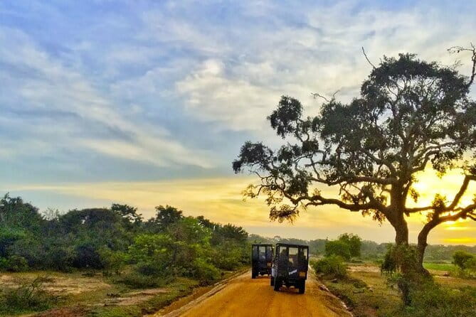 Yala National Park Private Jeep Safari From Colombo & Negombo - Key things that make this Yala safari work
