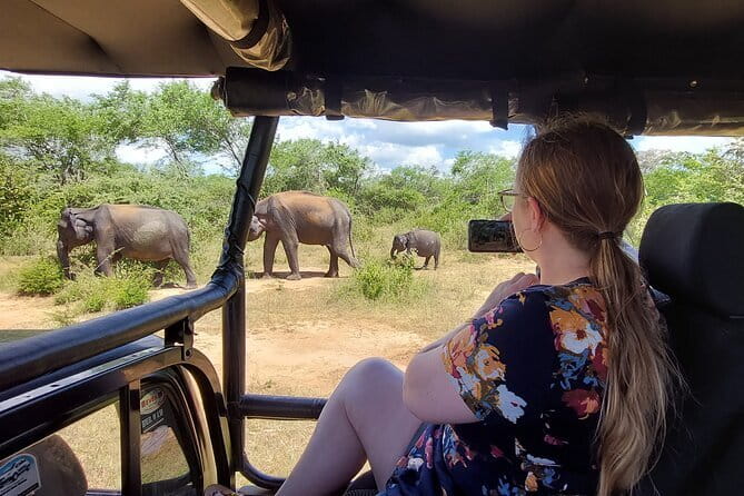 Yala National Park Private Jeep Safari From Colombo & Negombo - Food and comfort: lunch, coconut snacks, and the open-jeep reality