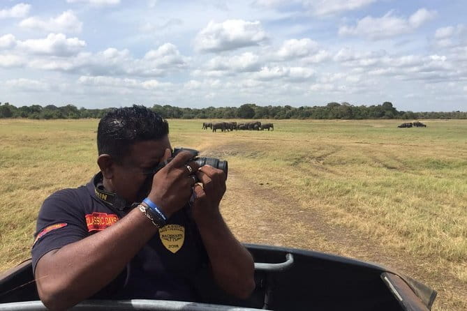Yala National Park Private Jeep Safari From Colombo & Negombo - Price and value: what $250 buys you on a private safari